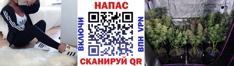Наркотические вещества Инсар ГЕРОИН  АМФ  Гашиш  Мефедрон  Конопля 