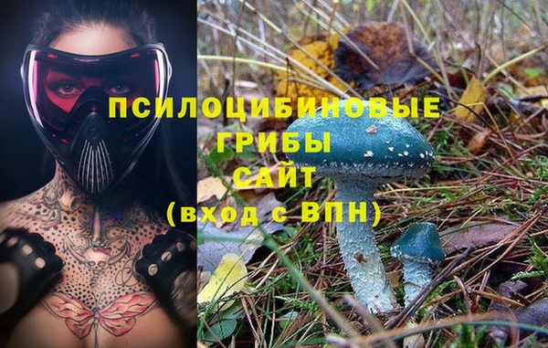 стафф Алексин