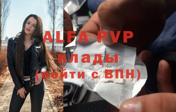 стафф Алексин