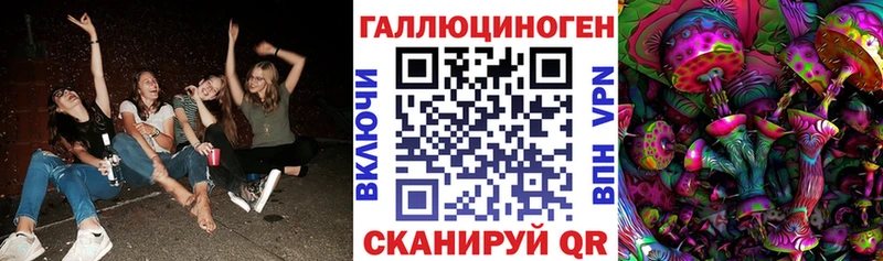 Псилоцибиновые грибы прущие грибы  Инсар 
